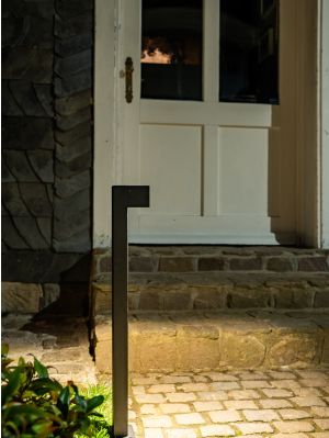 NEXOLIGHT Chara Borne Type 41