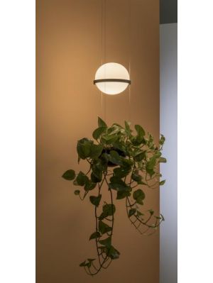 Vibia Palma 3724 graphite-grey